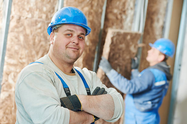 Best Specialized Insulation Services in Rock Island, IL