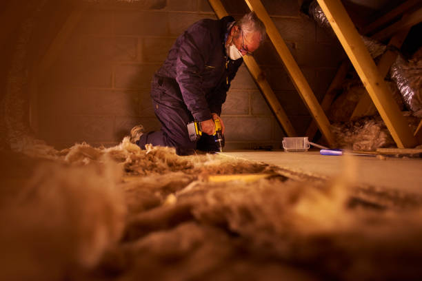 Types of Insulation We Offer in Rock Island, IL